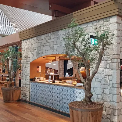 Troy Pearl Dekoratif Taş Showroom Uygulaması
