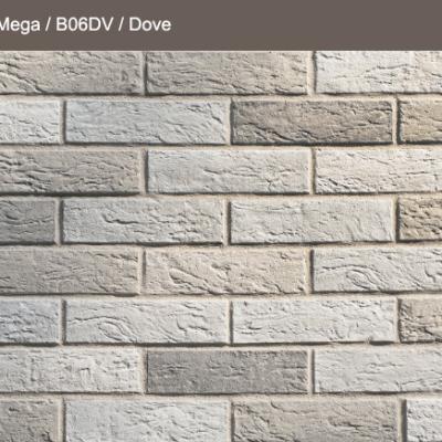 Dove
