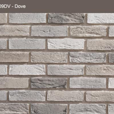Dove